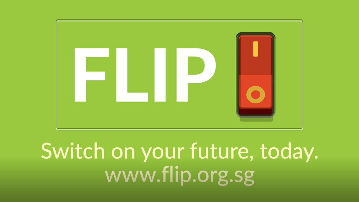 FLIP Video